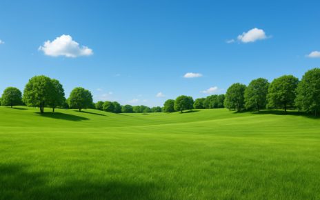 A wide, open landscape with rolling green hills and trees under a clear blue sky