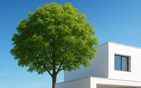 Large green tree in front of a modern white house under a clear blue sky